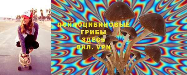 2c-b Алексин